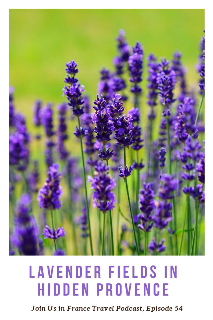 Provence is always a big attraction, some would say it's too crowded. But there are places you can go where it's very peaceful. A local guide spills the beans and shares the names of the places where he likes to take his customers. #provence
