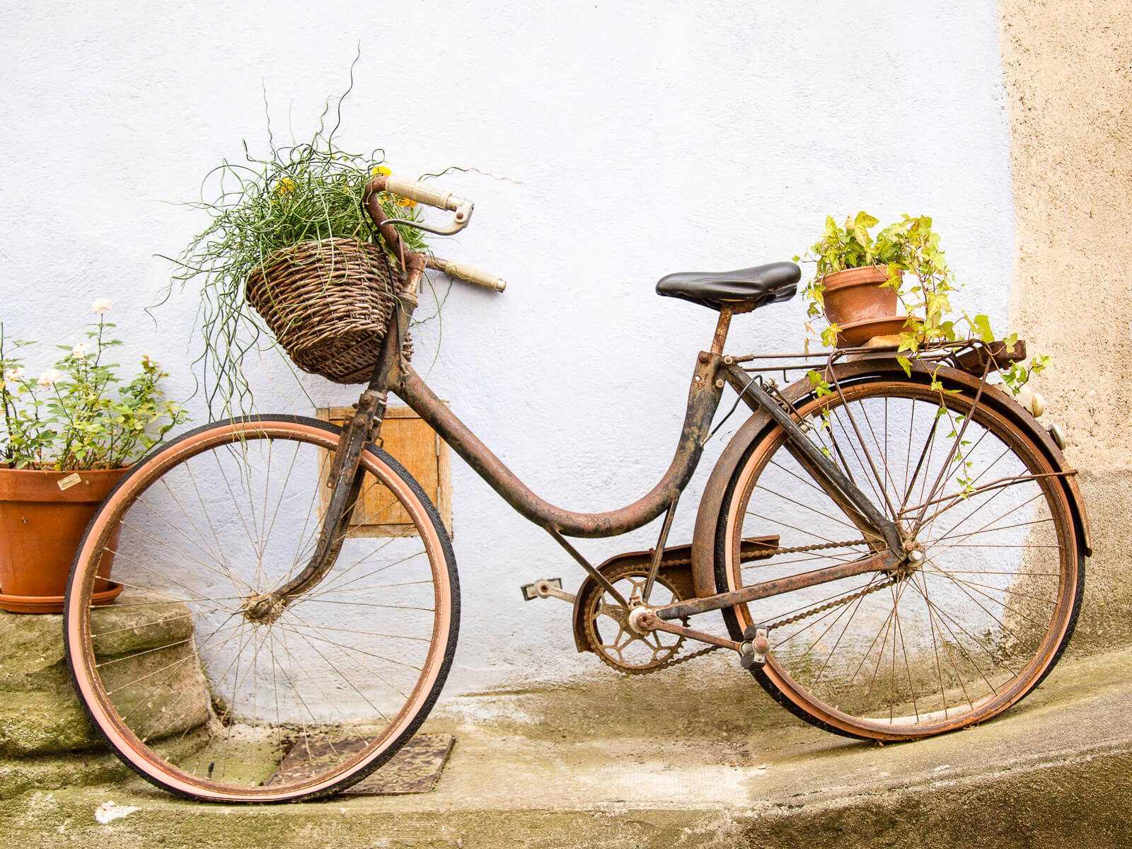 Tour the south west of france, ornamental bicycle against a wall