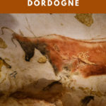 Large cow drawing photographed at the Lascaux 4 museum: Best Attractions in the Dordogne episode