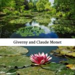 Lily Pads in bloom, pink blooms; day trip to giverny episode.