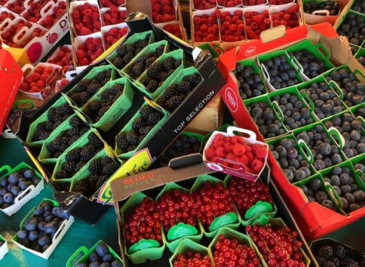 vegetable from an open-air food market in france