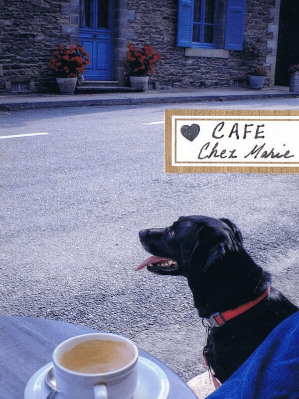 Claire and Tony's black labrador mix sitting patiently next to their table where they are enjoying a coffee