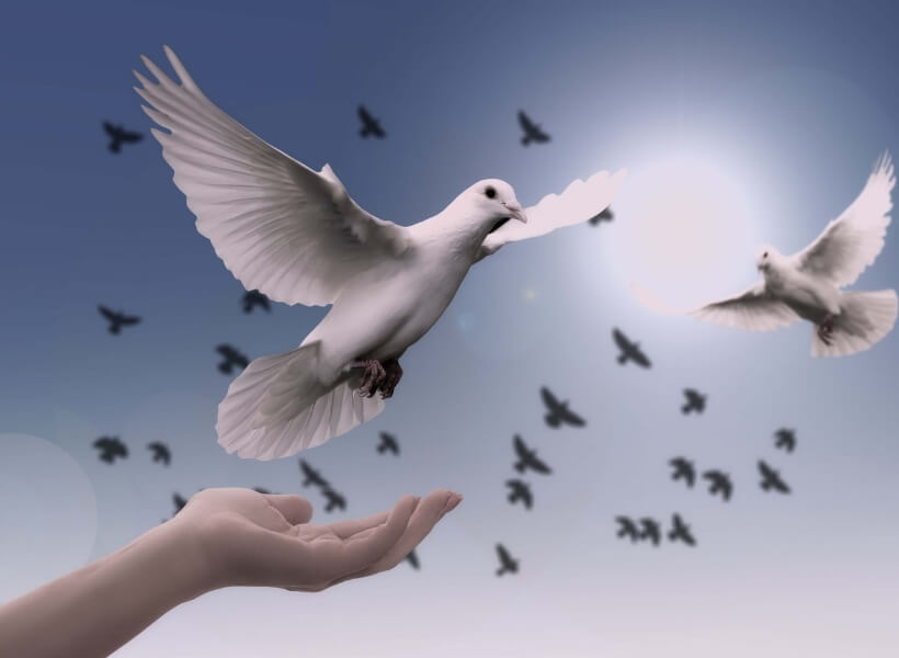 white dove and hand with black birds up against a blue sky