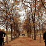 Alt Text: Eric and his wife at the Luxembourg Garden with Autumn Colors