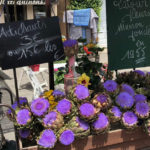 beautiful flowers at an open-air market in provence: smart way to visit provence episode