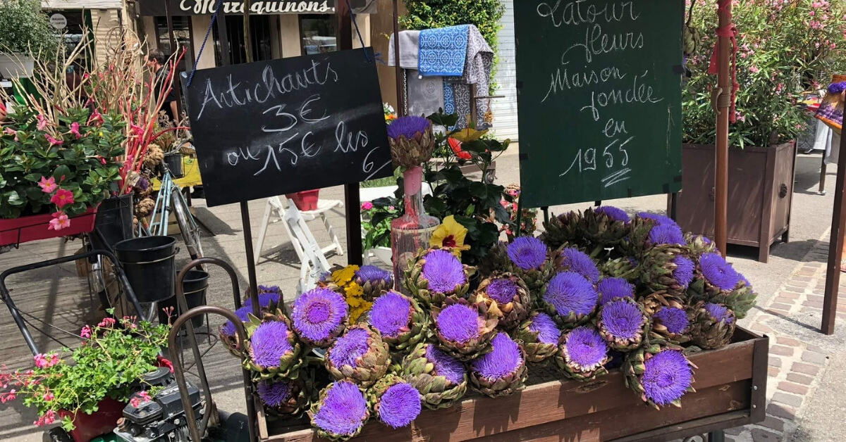 beautiful flowers at an open-air market in provence: smart way to visit provence episode