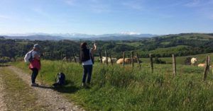 Women walkers on the chemin de Compostelle: walking the French chemin de Compostelle episode