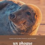 Un phoque: the easiest and hardest words to say in French episode