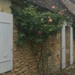 Old stone house with rose bushes: House Hunting in France episode