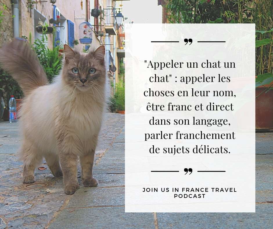 French Tip of the Week: Il faut appeler un chat un chat 