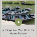 Boats tied to she side of a canal: Marais Poitevin Episode