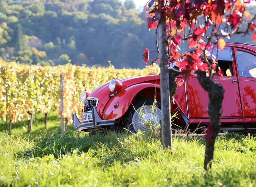 2CV car in a vineyard: are you a proper francophile episode