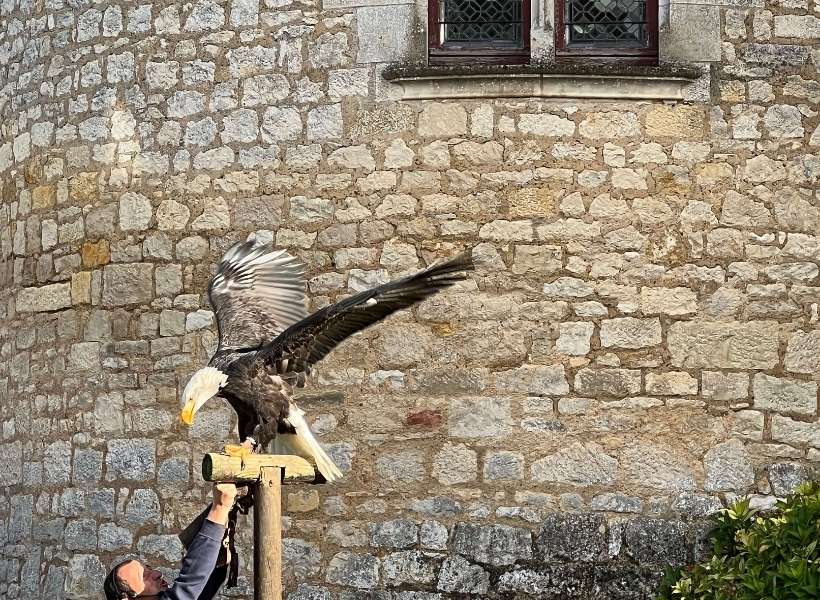 Bird show at Les Milandes, Josephine Baker's chateau in the Dordogne