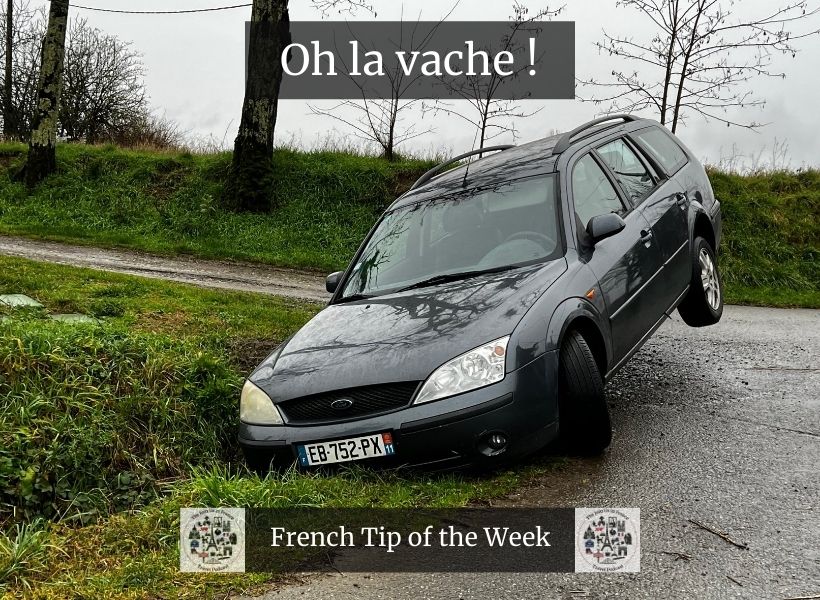 Oh la vache ! French Tip of the Week