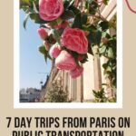 Roses in Paris: 7 day trips from Paris on public transportation