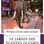 The Jardin des Plantes in Paris