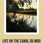 The view from the footpath along the canal: life on the Canal du Midi episode