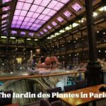General view of the Gallerie de l'Evolution in the Jardin des Plantes in Paris
