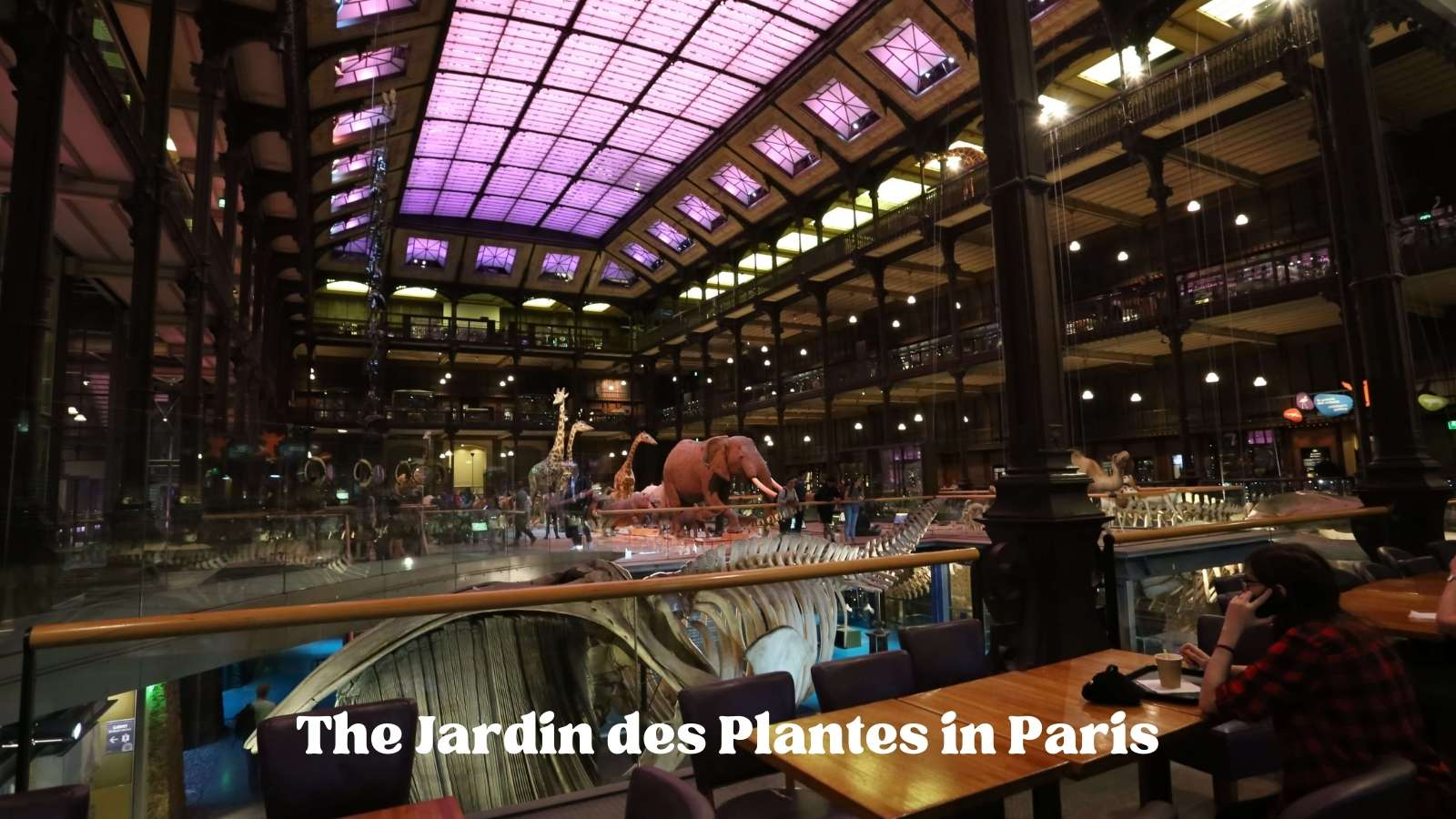 General view of the Gallerie de l'Evolution in the Jardin des Plantes in Paris