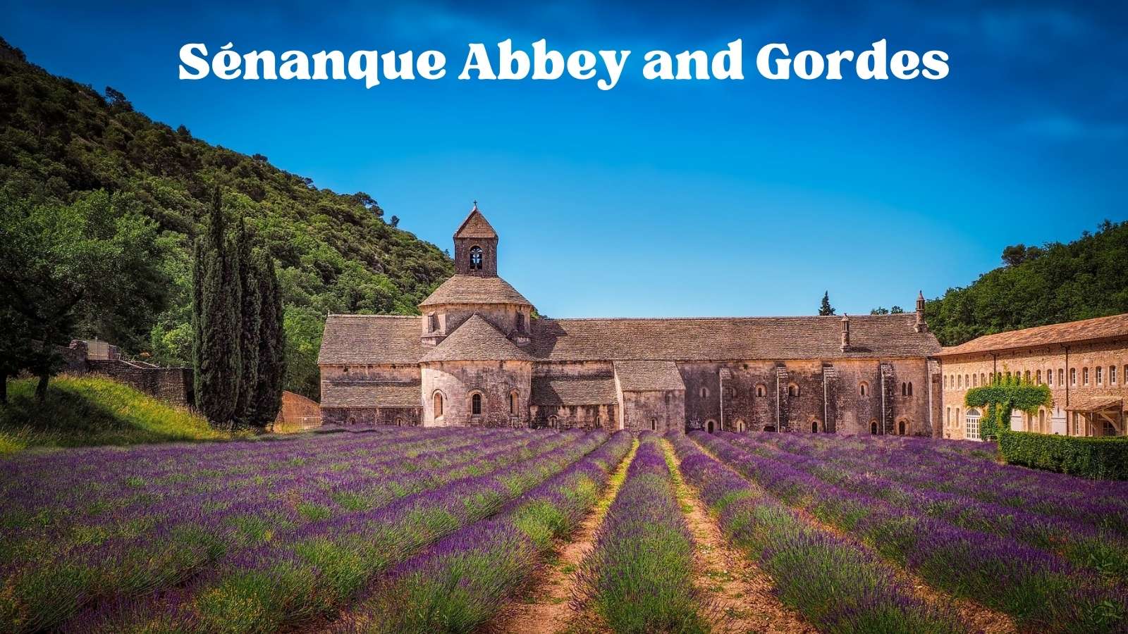 Sénanque Abbey: Sénanque Abbey and Gordes Episode