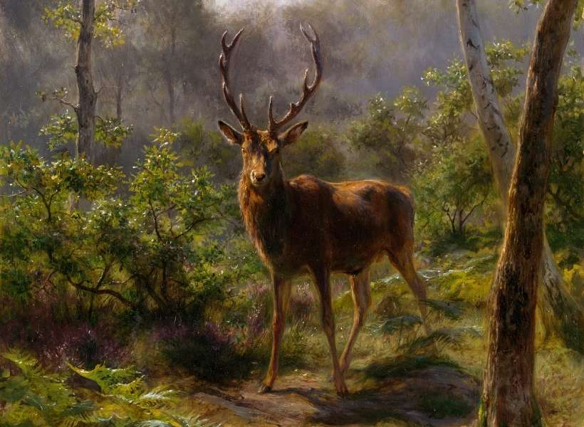 Deer in Repose by Rosa Bonheur