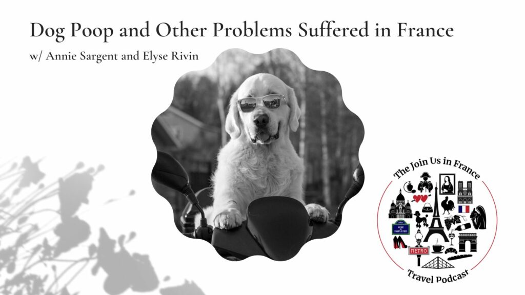 Dog Poop and Other Problems Suffered in France Join Us in France