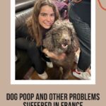 Young French woman hugging a dog: dog poop episode