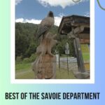 Wooden hawk sculpture: Best of the Savoie Department episode