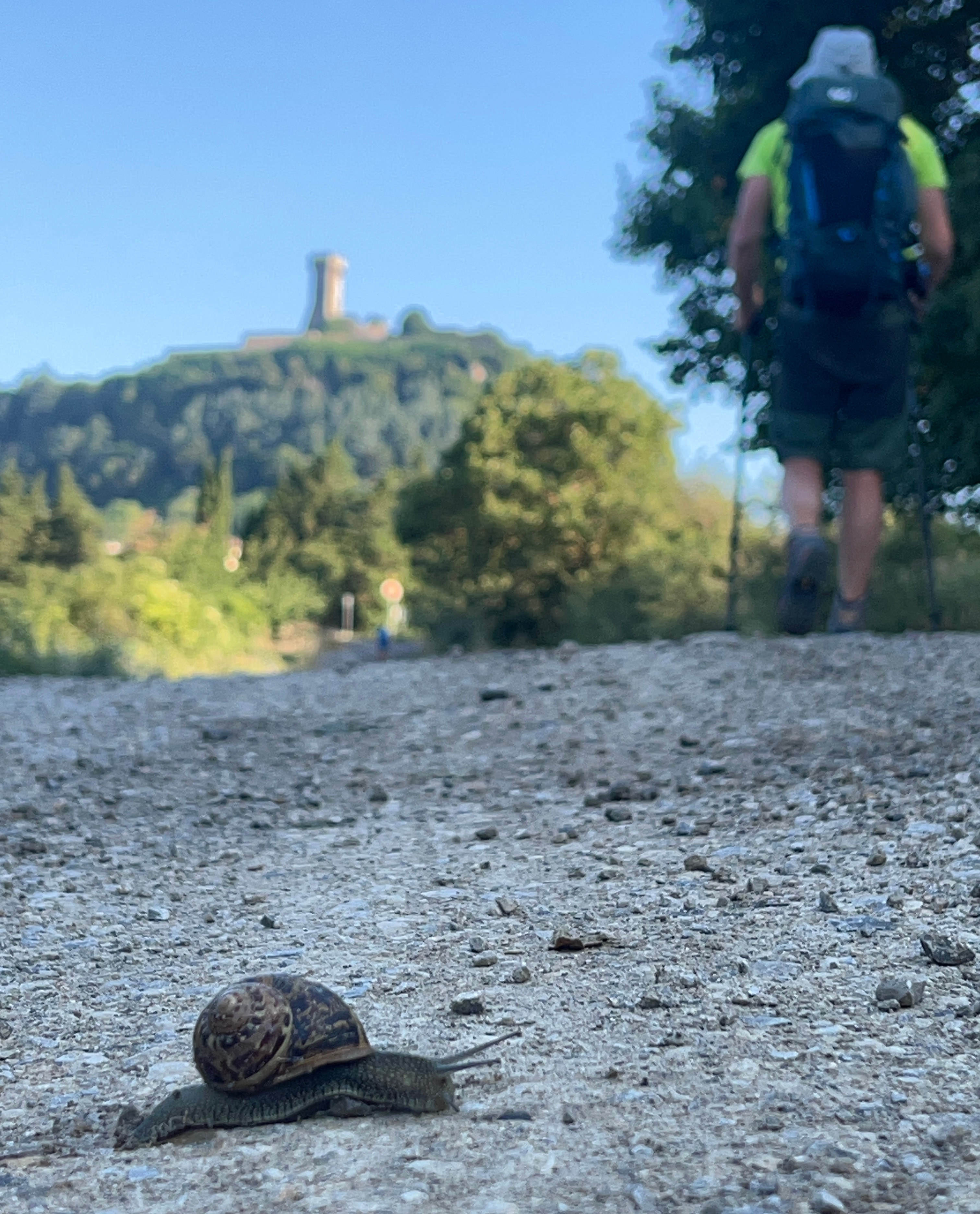 Olivier and the snail. Via Francigena: Traveling France on foot